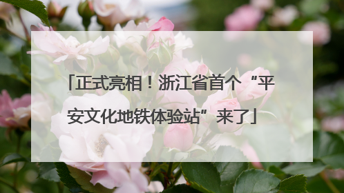 正式亮相！浙江省首个“平安文化地铁体验站”来了