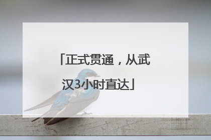 正式贯通，从武汉3小时直达