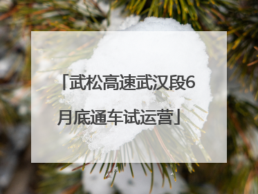 武松高速武汉段6月底通车试运营