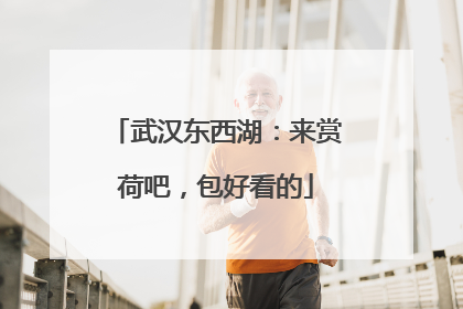 武汉东西湖：来赏荷吧，包好看的