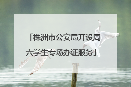 株洲市公安局开设周六学生专场办证服务