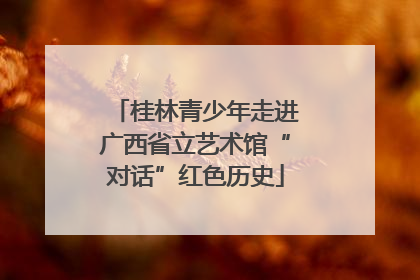 桂林青少年走进广西省立艺术馆“对话”红色历史