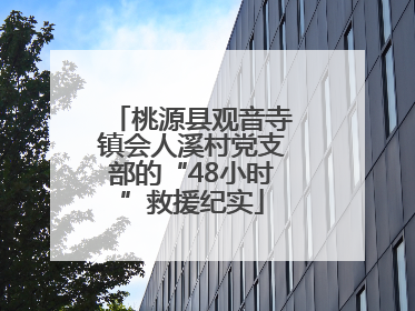 桃源县观音寺镇会人溪村党支部的“48小时”救援纪实