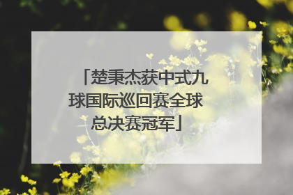 楚秉杰获中式九球国际巡回赛全球总决赛冠军
