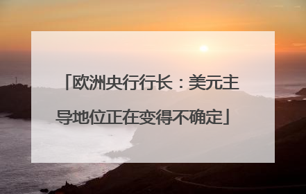 欧洲央行行长：美元主导地位正在变得不确定