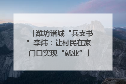 潍坊诸城“兵支书”李炜：让村民在家门口实现“就业”
