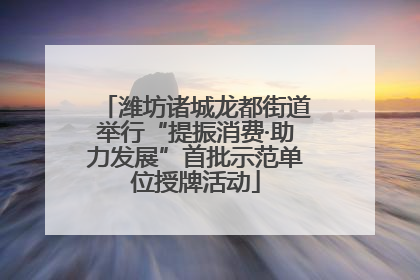 潍坊诸城龙都街道举行“提振消费·助力发展”首批示范单位授牌活动