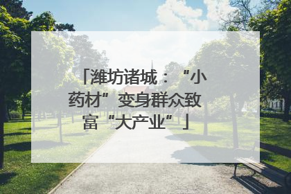 潍坊诸城：“小药材”变身群众致富“大产业”