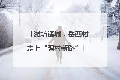 潍坊诸城：岳西村走上“强村新路”
