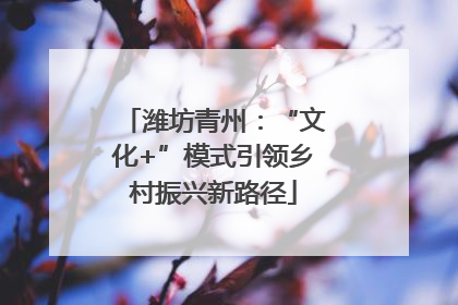 潍坊青州：“文化+”模式引领乡村振兴新路径