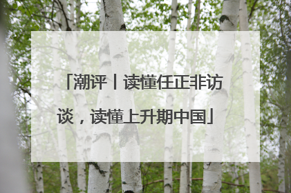 潮评丨读懂任正非访谈，读懂上升期中国