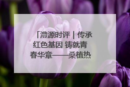 澧源时评｜传承红色基因 铸就青春华章——桑植热土上的青春长征