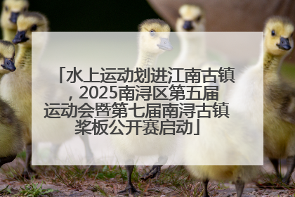 水上运动划进江南古镇，2025南浔区第五届运动会暨第七届南浔古镇桨板公开赛启动