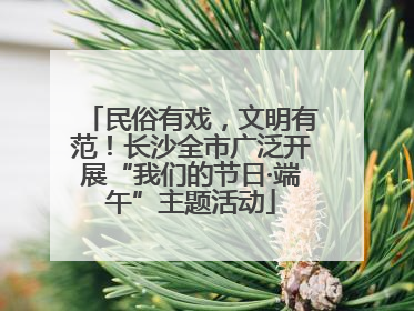 民俗有戏，文明有范！长沙全市广泛开展“我们的节日·端午”主题活动