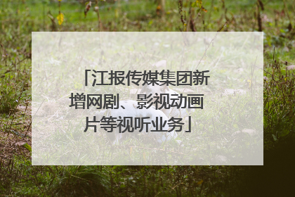 江报传媒集团新增网剧、影视动画片等视听业务