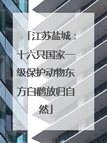 江苏盐城：十六只国家一级保护动物东方白鹳放归自然