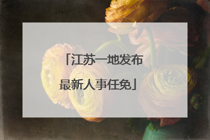 江苏一地发布最新人事任免