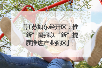 江苏如东经开区：惟“新”图强以“新”提质推进产业强区