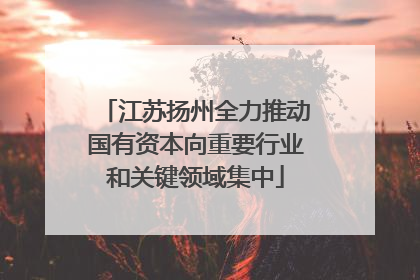 江苏扬州全力推动国有资本向重要行业和关键领域集中