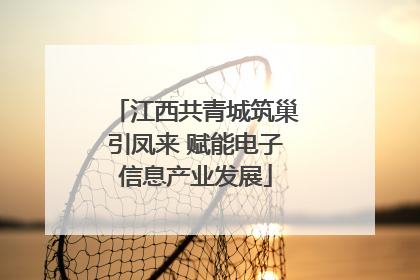 江西共青城筑巢引凤来 赋能电子信息产业发展