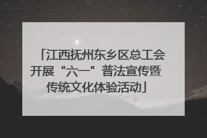 江西抚州东乡区总工会开展“六一”普法宣传暨传统文化体验活动