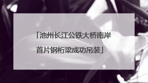 池州长江公铁大桥南岸首片钢桁梁成功吊装