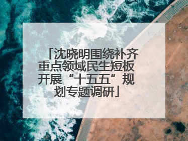 沈晓明围绕补齐重点领域民生短板开展“十五五”规划专题调研