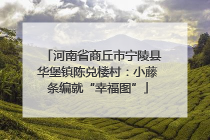 河南省商丘市宁陵县华堡镇陈兑楼村：小藤条编就“幸福图”