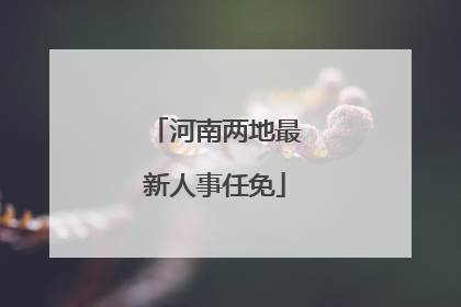 河南两地最新人事任免