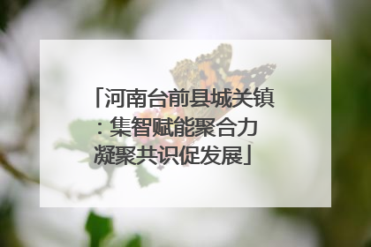 河南台前县城关镇：集智赋能聚合力 凝聚共识促发展