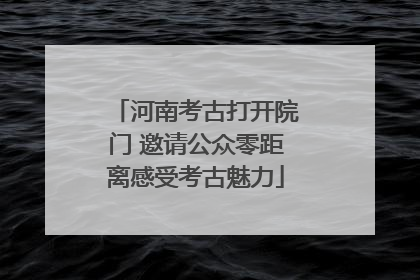 河南考古打开院门 邀请公众零距离感受考古魅力