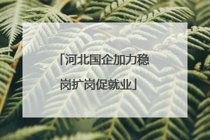 河北国企加力稳岗扩岗促就业