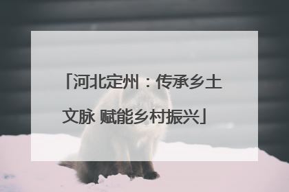 河北定州：传承乡土文脉 赋能乡村振兴