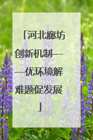 河北廊坊创新机制——优环境解难题促发展