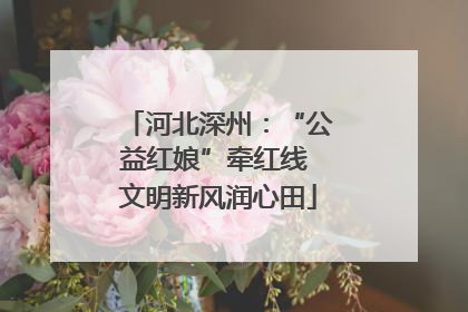 河北深州：“公益红娘”牵红线 文明新风润心田