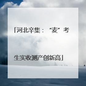 河北辛集：“麦”考生实收测产创新高