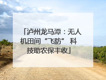 泸州龙马潭：无人机田间“飞防” 科技助农保丰收