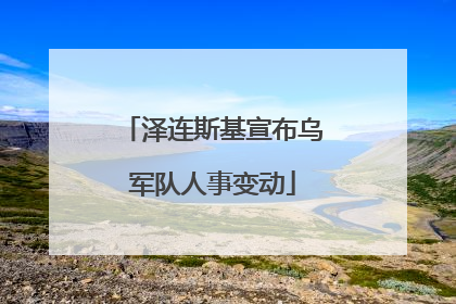泽连斯基宣布乌军队人事变动