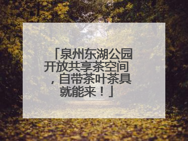 泉州东湖公园开放共享茶空间，自带茶叶茶具就能来！