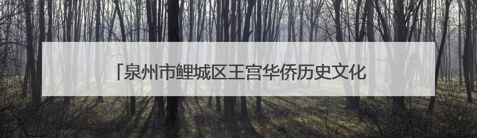 泉州市鲤城区王宫华侨历史文化街区：侨村焕新颜古风添新韵