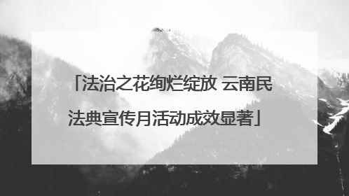 法治之花绚烂绽放 云南民法典宣传月活动成效显著