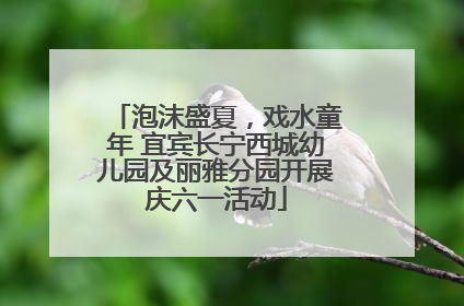 泡沫盛夏，戏水童年 宜宾长宁西城幼儿园及丽雅分园开展庆六一活动