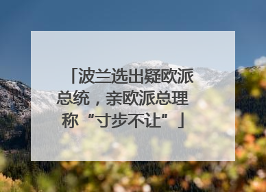 波兰选出疑欧派总统，亲欧派总理称“寸步不让”