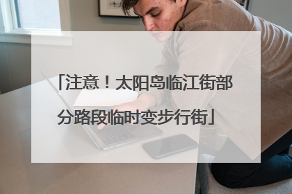 注意！太阳岛临江街部分路段临时变步行街