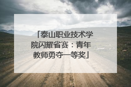泰山职业技术学院闪耀省赛：青年教师勇夺一等奖