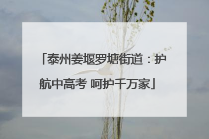 泰州姜堰罗塘街道：护航中高考 呵护千万家
