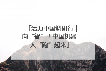 活力中国调研行｜向“智”！中国机器人“跑”起来