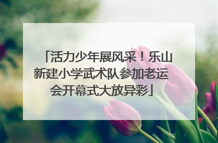 活力少年展风采！乐山新建小学武术队参加老运会开幕式大放异彩