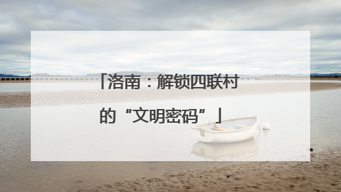 洛南：解锁四联村的“文明密码”