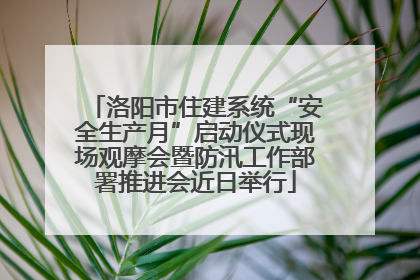 洛阳市住建系统“安全生产月”启动仪式现场观摩会暨防汛工作部署推进会近日举行